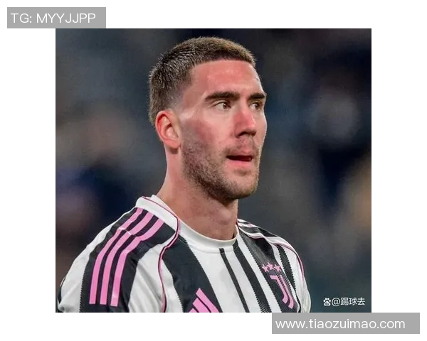 弗拉霍维奇：从天才前锋到意甲新星的成长之路与未来展望