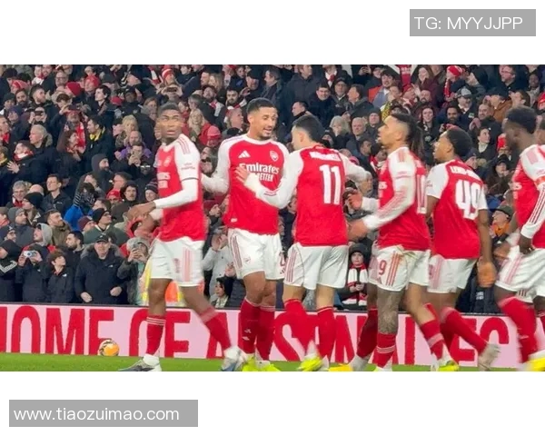 马丁内利：从新星崛起到足坛巨星的成长之路与未来展望